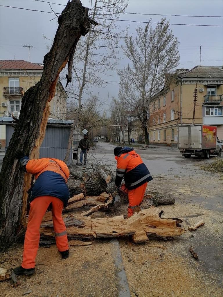 Просьба не парковать автомобили вблизи растущих деревьев