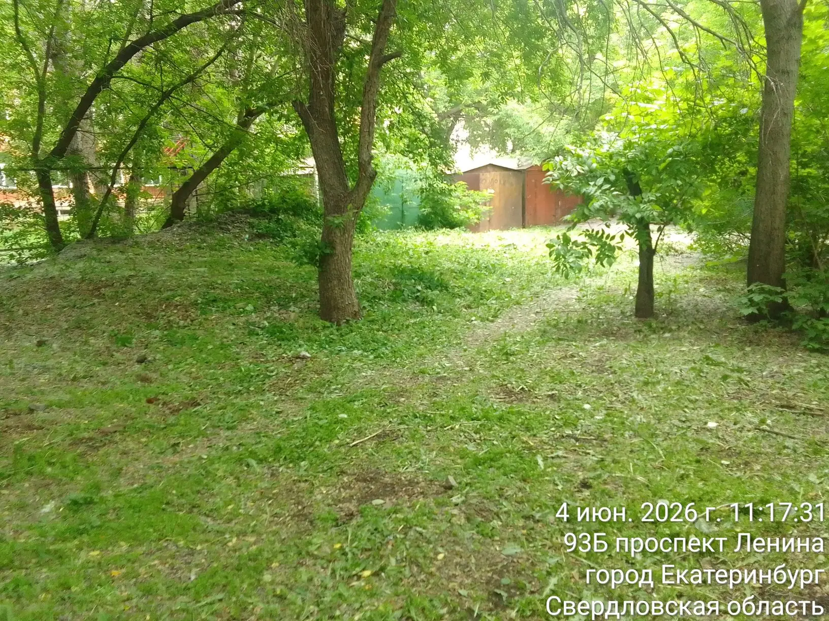 Покос травы